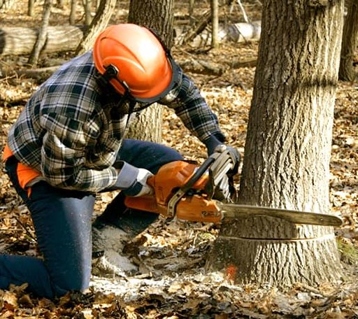 Tree Removal in Smithwick, SD